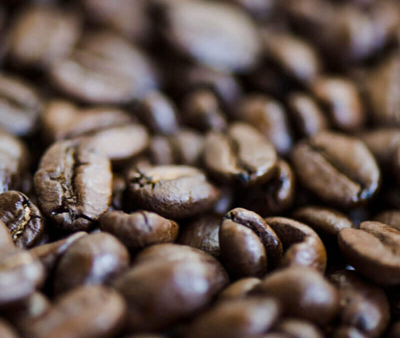 ciMIT love kakak mentor